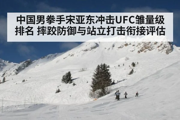 中国男拳手宋亚东冲击UFC雏量级排名 摔跤防御与站立打击衔接评估